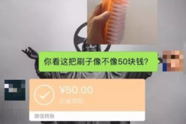 莘县专业讨债公司，追讨消失的老赖