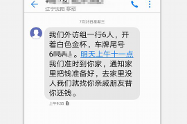 莘县为什么选择专业追讨公司来处理您的债务纠纷？